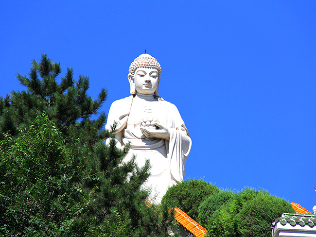灵山宝塔陵园内的图片展示