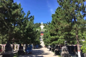 灵山宝塔陵园：专业安葬服务获广泛认可
