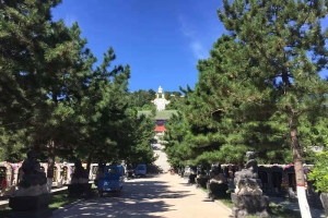 灵山宝塔陵园地址及四季风光全览