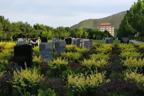 灵山宝塔陵园资质与费用全解析