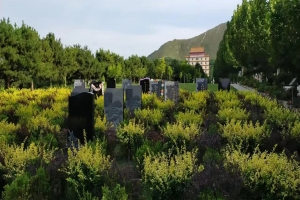 灵山宝塔陵园文化景观特色解析