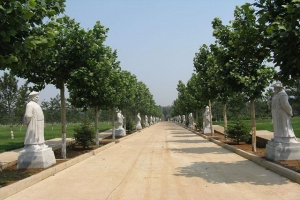 灵山宝塔陵园实景环境展示与最新优惠信息